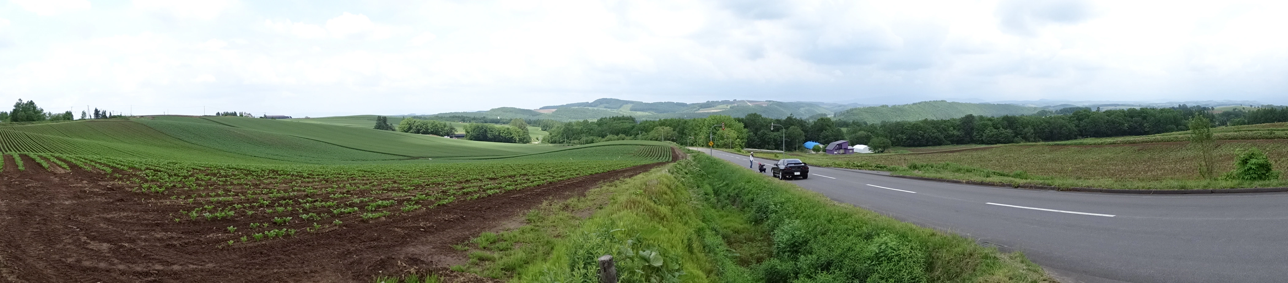 Fields without an end